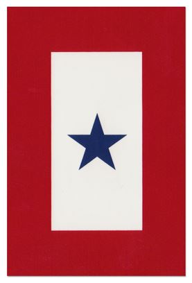 Blue Star Flag