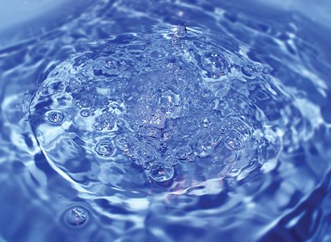 Water Quality Report