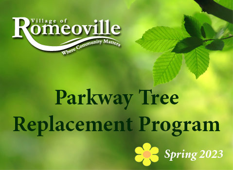 Parkway Tree Program 2022
