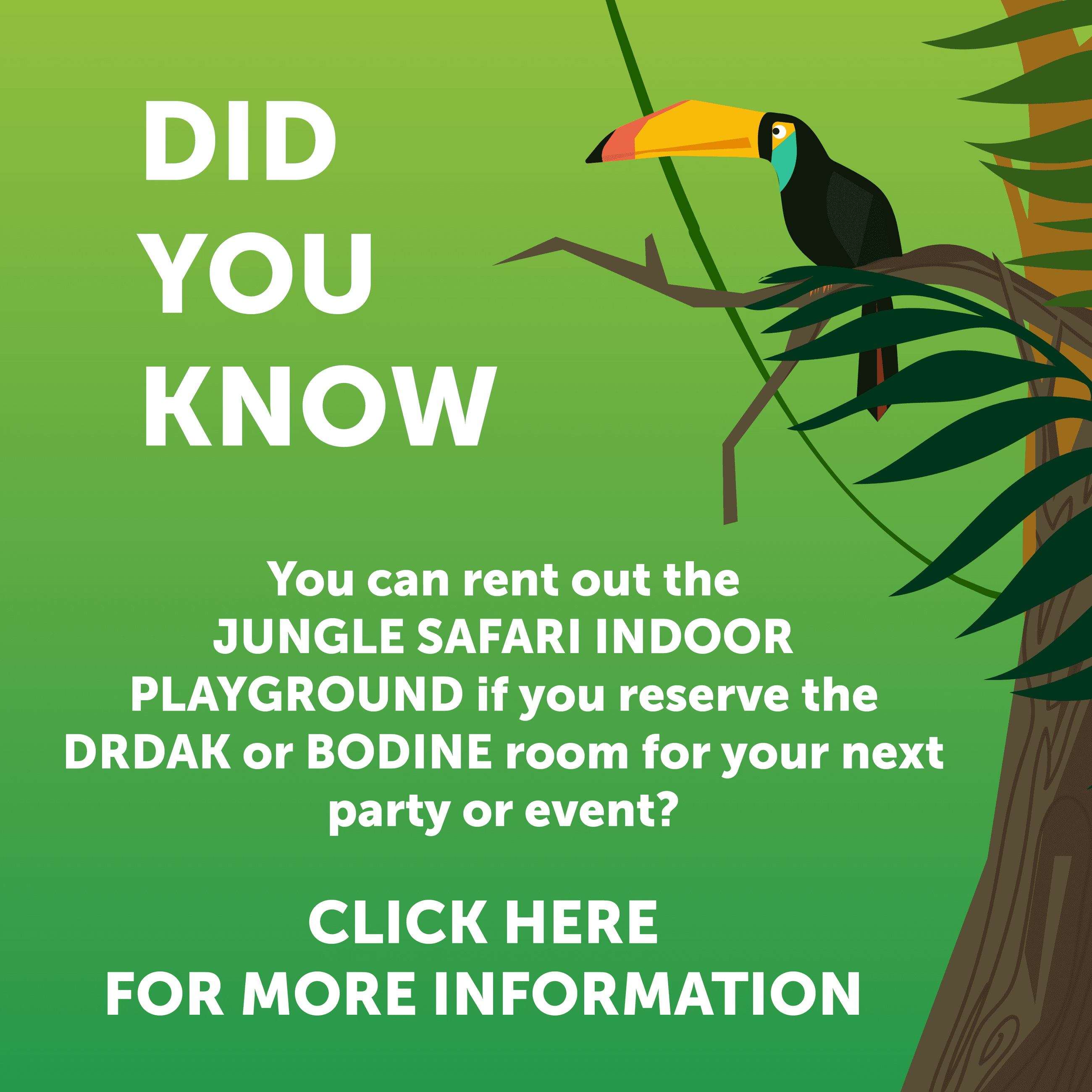 Jungle Safari Did You Know