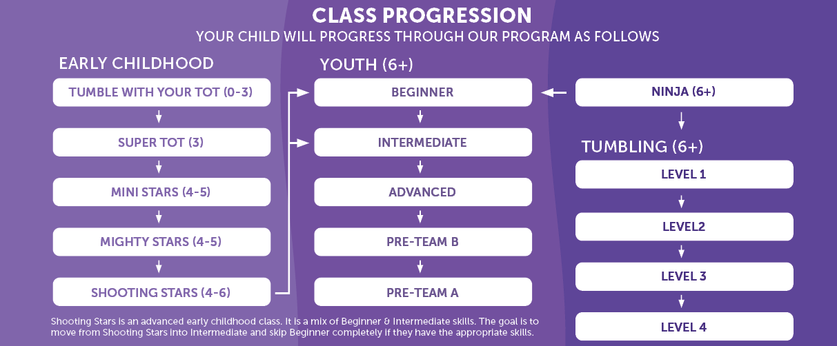 Flow chart showing the progression through the gymnastics classes offered